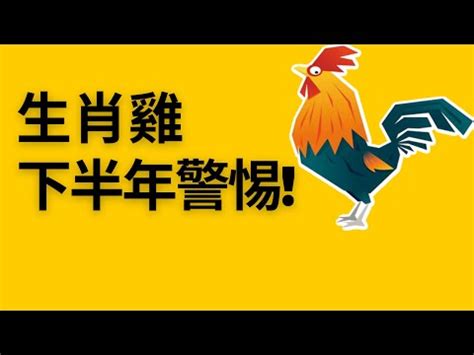 屬雞坐北朝南|【屬雞適合的方位】雞年必看！屬雞住房風水大解析：適合方位樓。